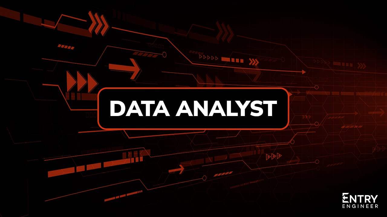 Data Analyst