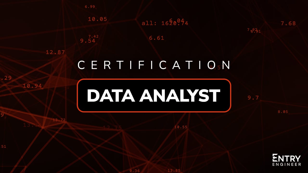 Data Analyst